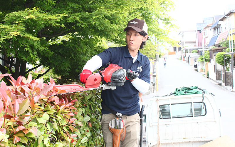 庭木・生垣の刈込みの作業