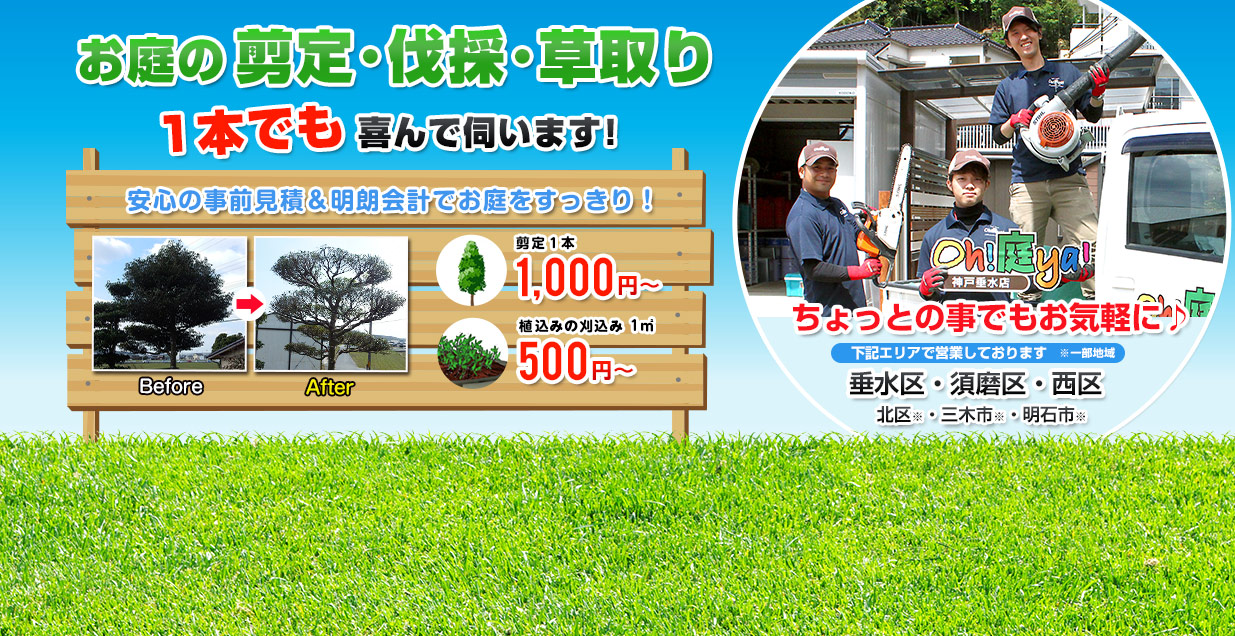 お庭の剪定・伐採・草取り 1本でも喜んで伺います!