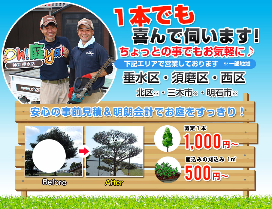 お庭の剪定・伐採・草取り 1本でも喜んで伺います!