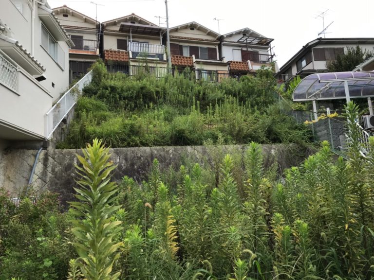 斜面の雑草草刈作業は危険です！ ブログ記事 oh!庭ya!（おにわや）神戸垂水店